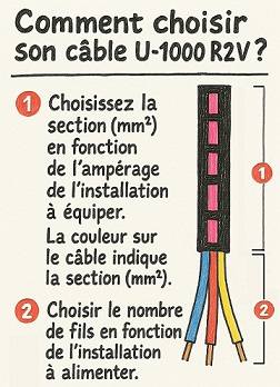 Description de l'image